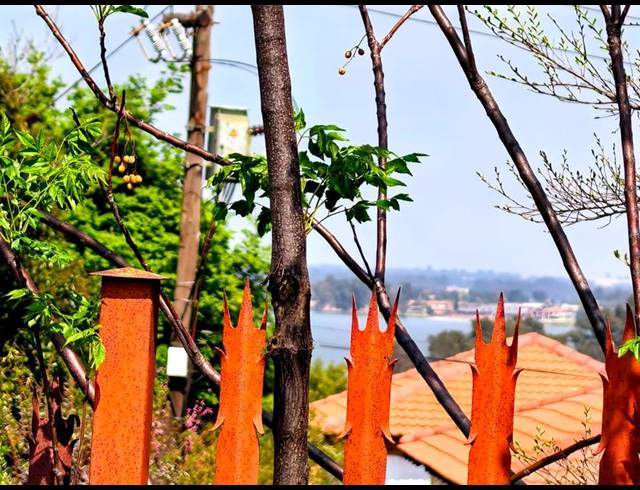 LAND FOR SALE IN VAAL MARINA